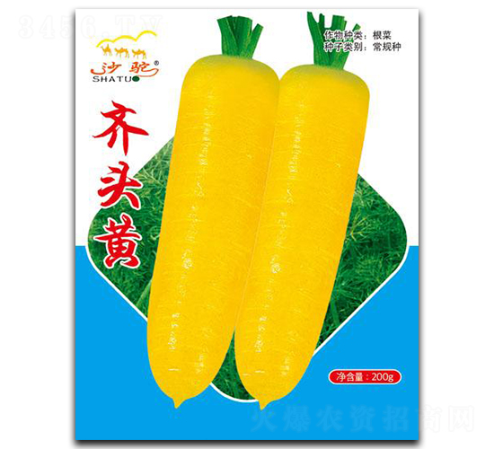 �R�^�S-�}���N��-(li��n)��(chu��ng)