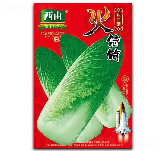 �����-�ײ˷N��-����