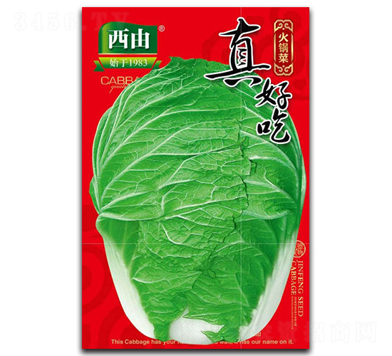 ��ó�-�ײ˷N��-����