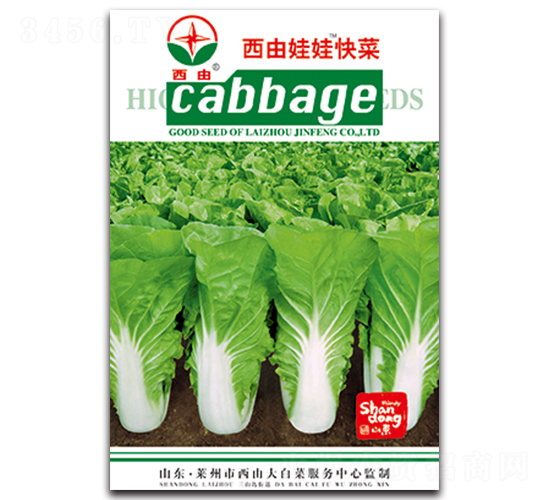 �������޿��-�ײ˷N��-����