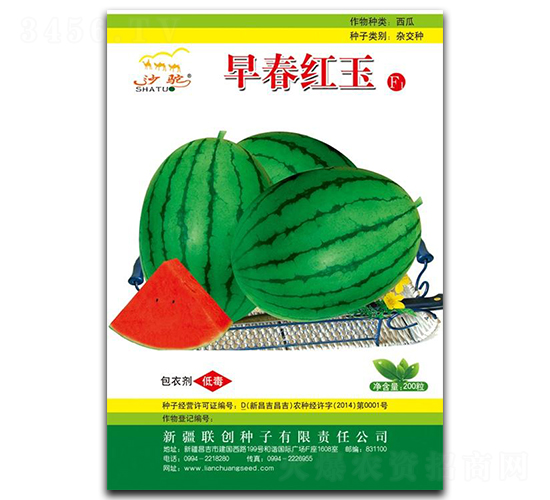 �紺�t��-���ϷN��-(li��n)��(chu��ng)