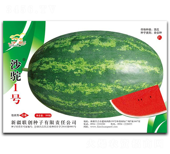 ɳ�1̖(h��o)-���ϷN��-(li��n)��(chu��ng)