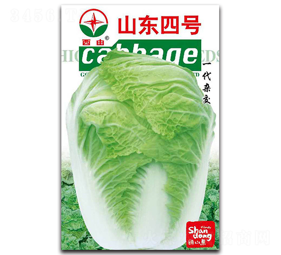 ɽ�|��̖-�ײ˷N��-����