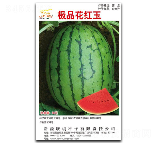 �OƷ���t��-���ϷN��-(li��n)��(chu��ng)