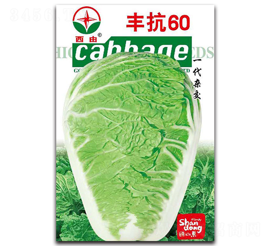 �S��60-�ײ˷N��-����