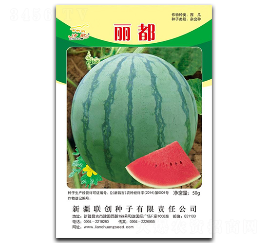 ����-���ϷN��-(li��n)��(chu��ng)