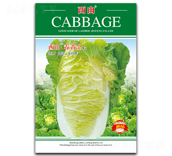 ���ɴ��S��-�ײ˷N��-����