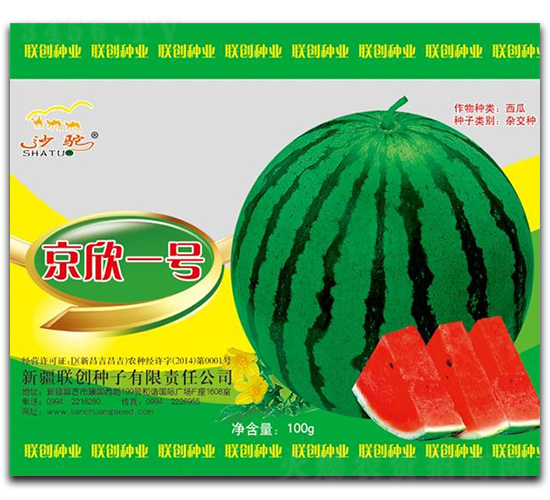 ����һ̖(h��o)-���ϷN��-(li��n)��(chu��ng)