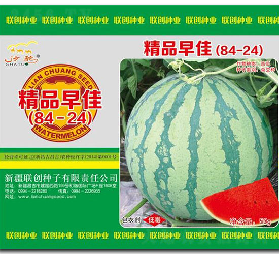 ��Ʒ���84-24-���ϷN��-(li��n)��(chu��ng)