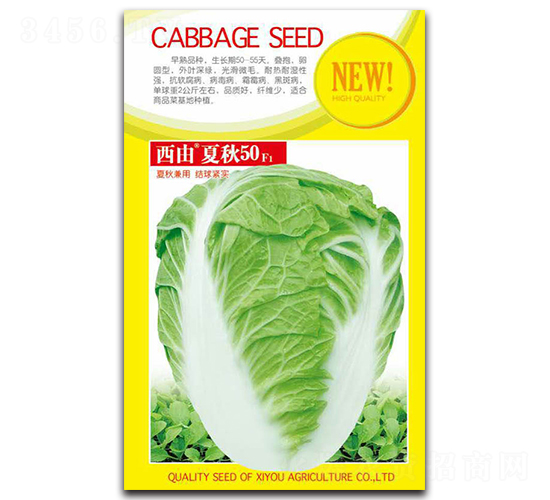 ����50-�ײ˷N��-����