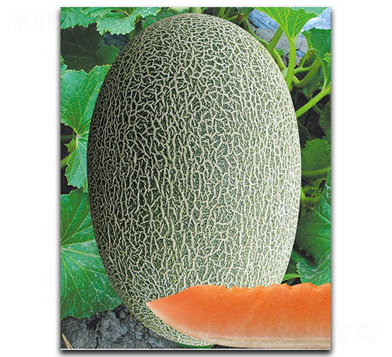 �Ä�(chu��ng)�۶�̖-��ϷN��-(li��n)��(chu��ng)