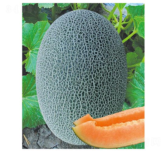 ��(chu��ng)����ʮ��̖-��ϷN��-(li��n)��(chu��ng)