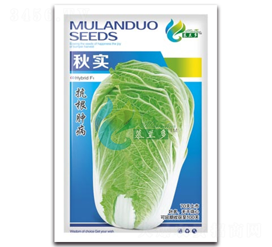 �-�ײ˷N��-Ľ�m��