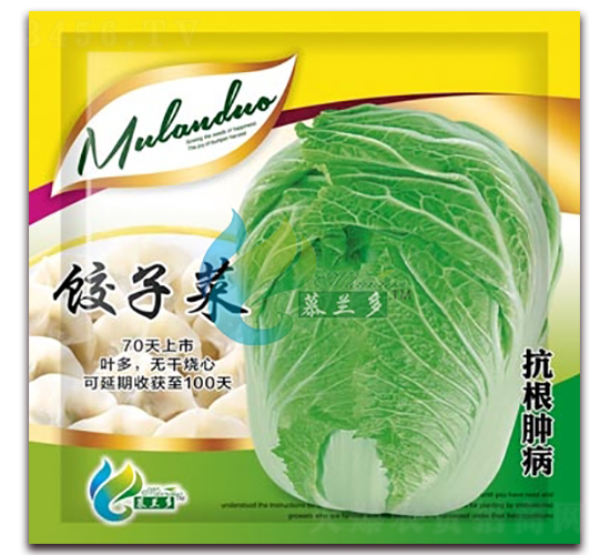 ��Ӳ�-�ײ˷N��-Ľ�m��