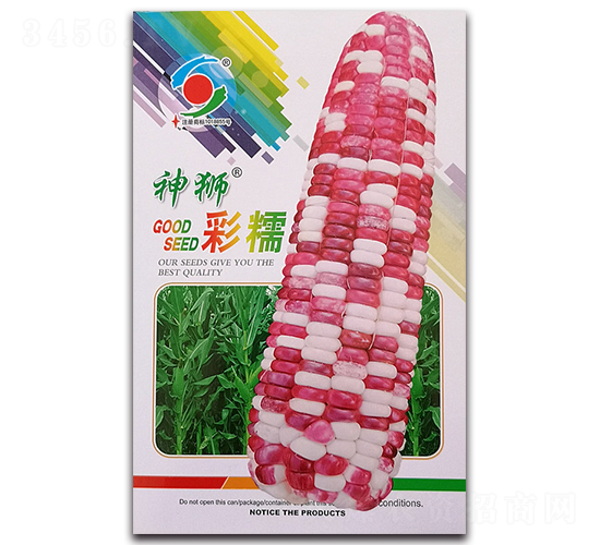 ��{��Ŵ-Ŵ���׷N��-�����o(j��)