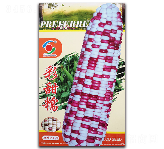 ��{����Ŵ-Ŵ���׷N��-�����o