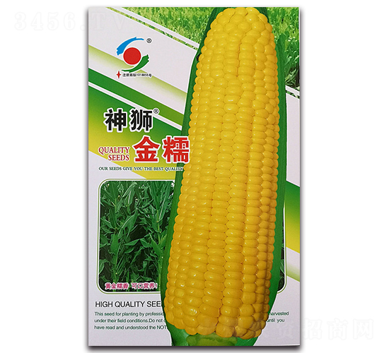 ��{��Ŵ-Ŵ���׷N��-�����o