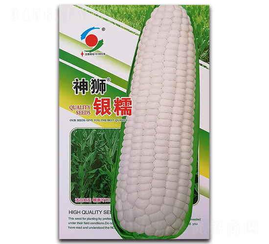 ��{�yŴ-Ŵ���׷N��-�����o