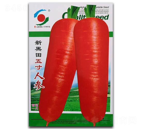 �º�������˅�-ˮ���}���N��-�����o(j��)