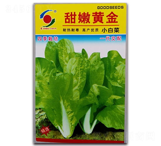 �����S��-�ײ˷N��-�����o