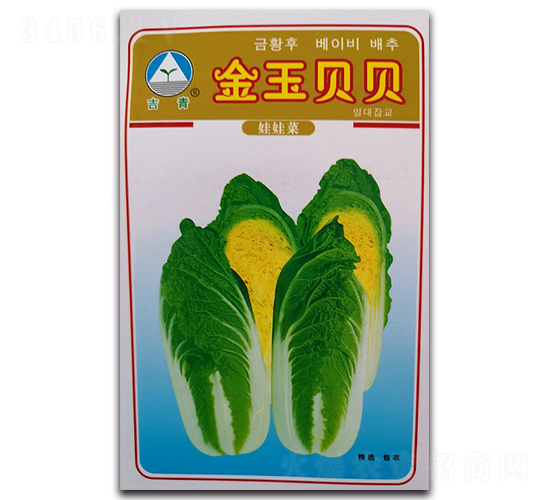 ����ؐؐ-���޲˷N��-�����o(j��)