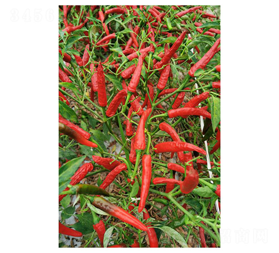 ����221-�����N��-�����N�I(y��)