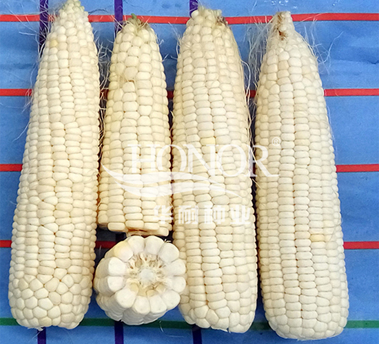 ��Ŵ182̖-���׷N��-�A�ͷN�I(y��)