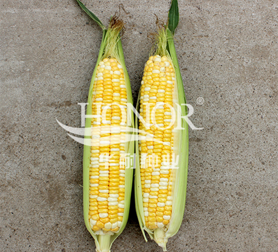 ������3̖-���׷N��-�A�ͷN�I(y��)