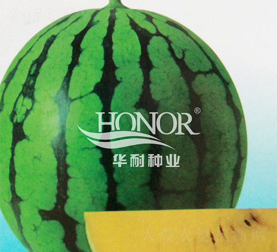 ����-���ϷN��-�A�ͷN�I(y��)