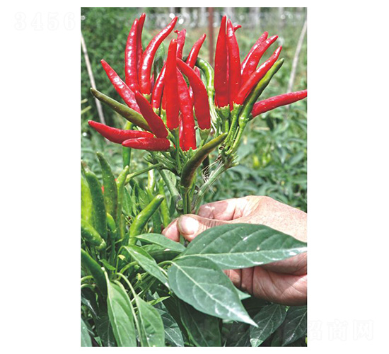 ����131-�����N��-�����N�I(y��)