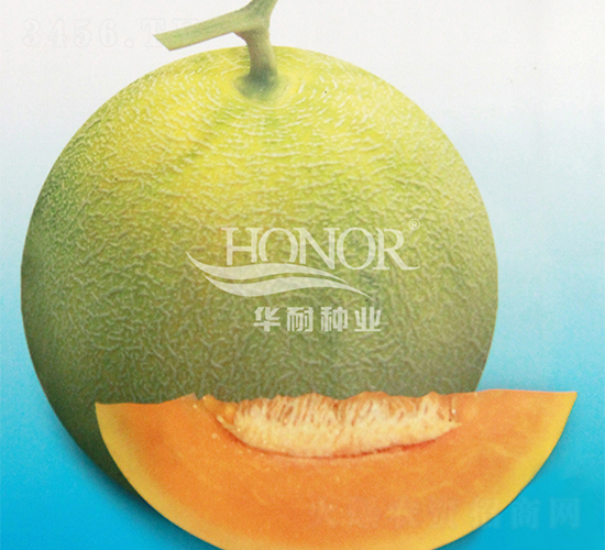 �S��-��ϷN��-�A�ͷN�I(y��)