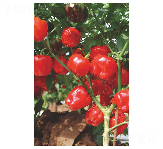 �A��78-�����N��-�����N�I(y��)