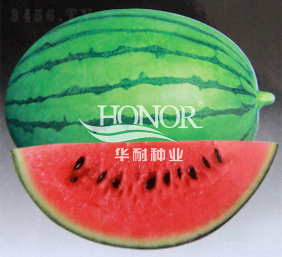 ����2̖(h��o)-���ϷN��-�A�ͷN�I(y��)