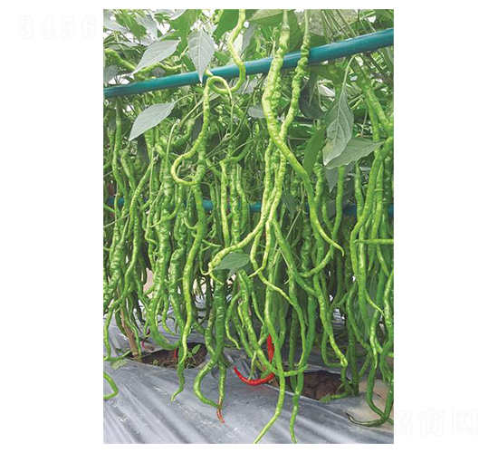 �����L��-�����N��-�����N�I(y��)