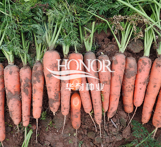 ���t026-�}���N��-�A�ͷN�I(y��)