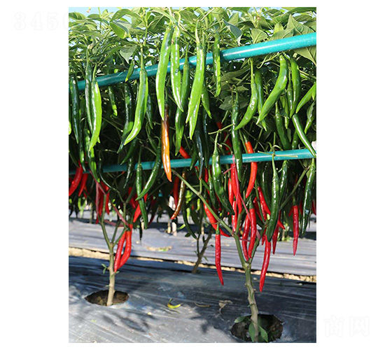 �����t��-�����N��-�����N�I(y��)