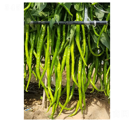 ����140-�����N��-�����N�I(y��)