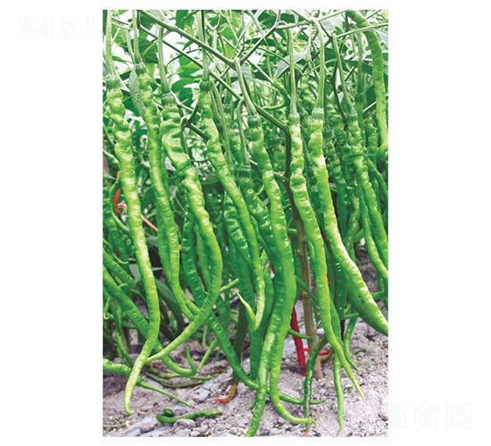 �����t120-�����N��-�����N�I(y��)