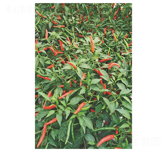 ����134-���콷�N��-�����N�I(y��)