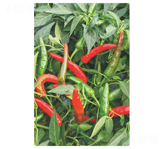 ����221-���콷�N��-�����N�I(y��)