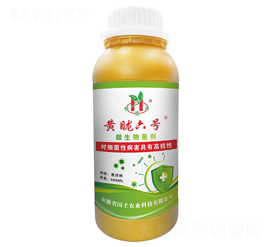 ΢�������-�S����̖-��������