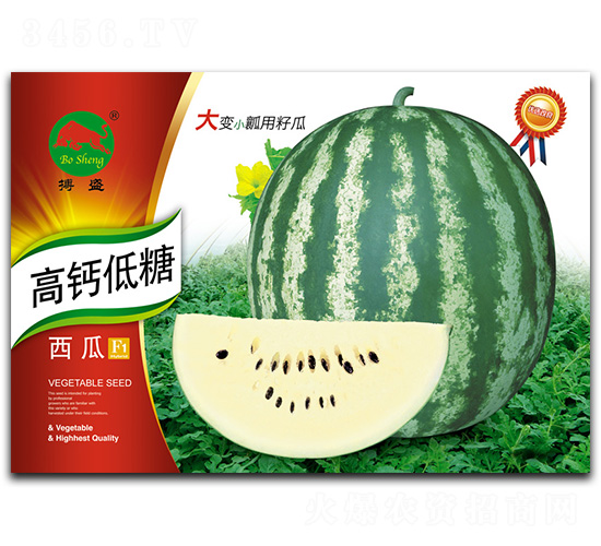 ���}��������-���ϷN��-��ʢ�N�I(y��)