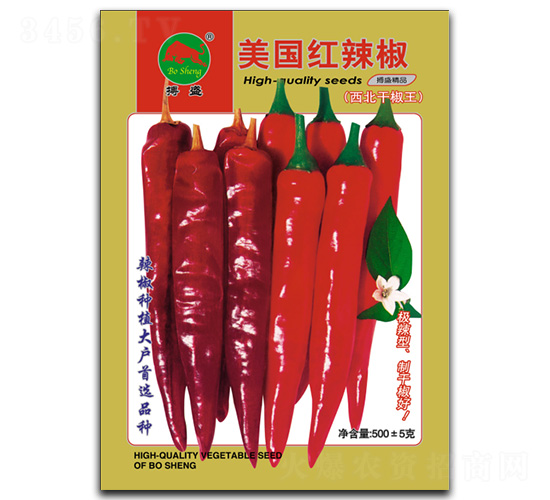 �����t����-�����N��-��ʢ�N�I(y��)