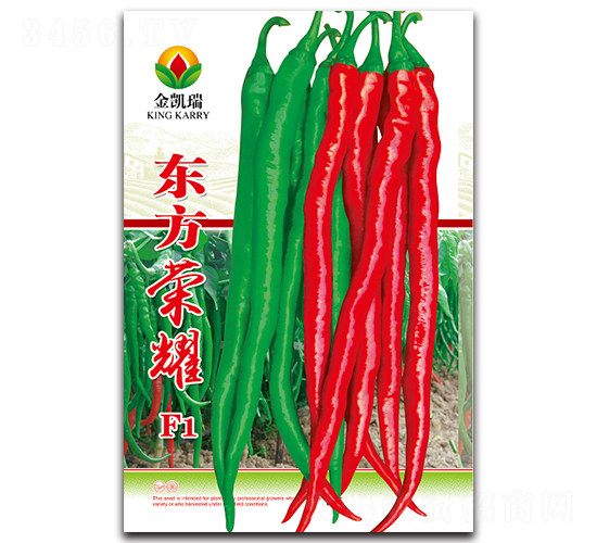 �|���sҫF1-�����N��-���P��