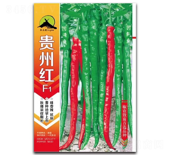 �F�ݼtF1-�����N��-���P��