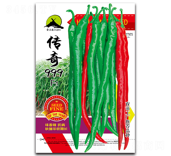 ����999F1-�����N��-���P��