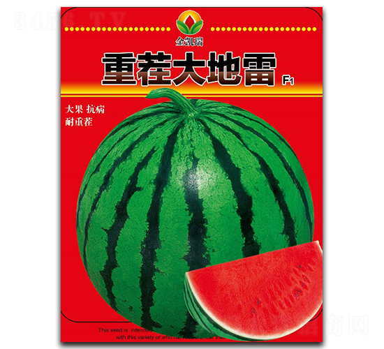 �ز�����-���ϷN��-���P��