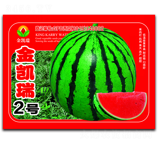 ���P��2̖(h��o)-���ϷN��-���P��