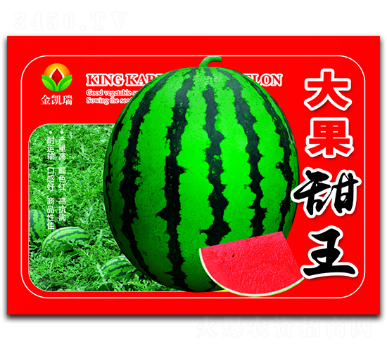 �������-���ϷN��-���P��