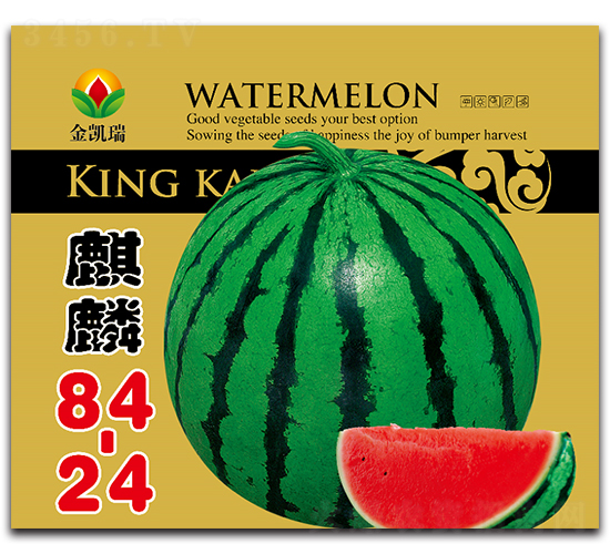 ����84.24-���ϷN��-���P��